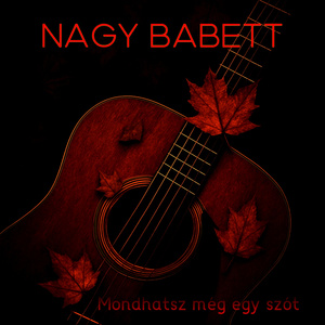 Mondhatsz még egy szót (Dánielfy Feldolgozás)