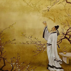 "金樽空杯" 国风孟菲斯&揽佬&华云龙 Type Beat