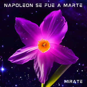 Mirate
