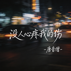 没人心疼我的伤 （飙升版）