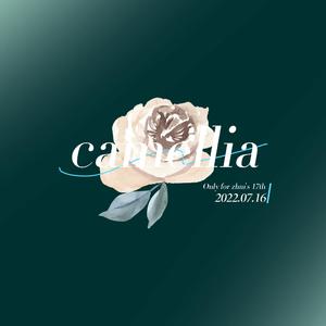 雨季里的山茶花永不褪色