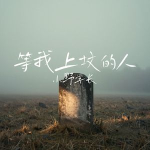 等我上坟的人