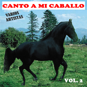 La Muerte de Mi Caballo