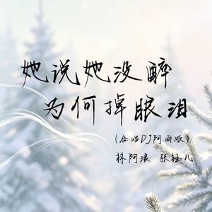 她说她没醉为何掉眼泪(合唱DJ阿雨版)
