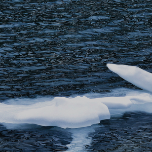Frozen