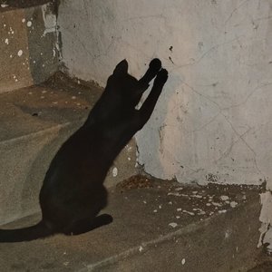 倒放的虹 (1).wav