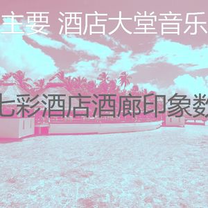 优美酒店大堂器乐