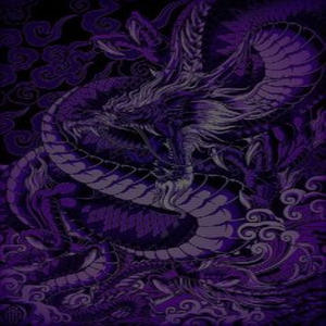 dilliwaali girlfriend slowed n reverb