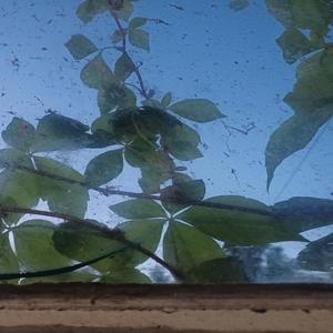 prescise1 awkward blends