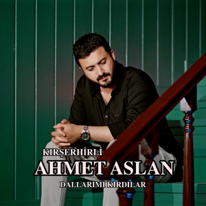 Dallarımı Kırdılar