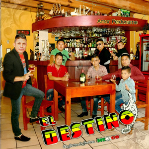 Estúpido