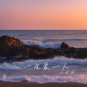 一生爱一人
