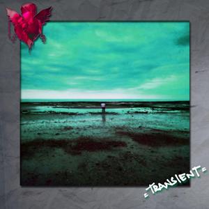 Transient (Instrumental Mix)