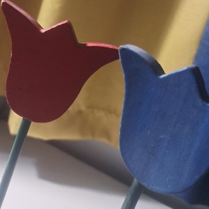 红蓝花（prod by waterange）