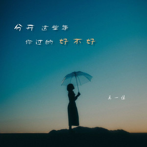 分开这些年 你过的好不好 (live合唱版)