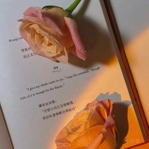 天道佩仪