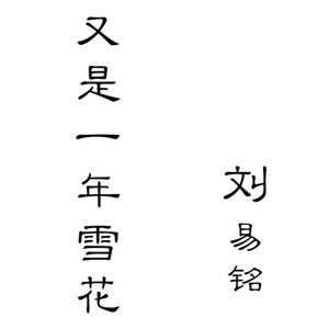 又是一年雪花
