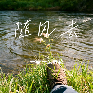 随风去
