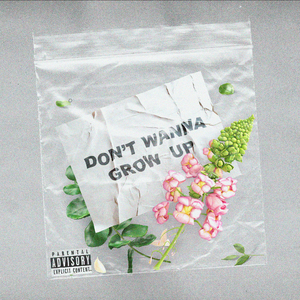 Don't Wanna Grow Up