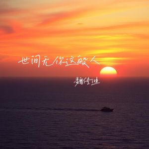 世间无你这般人