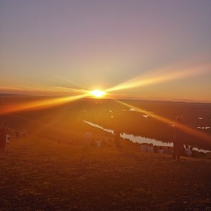 学习freestyle（prod by j3lvlYounger $tan）