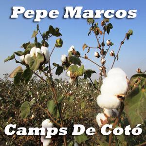 Sóc Ciutadá Del Mon