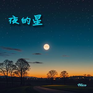 夜的星