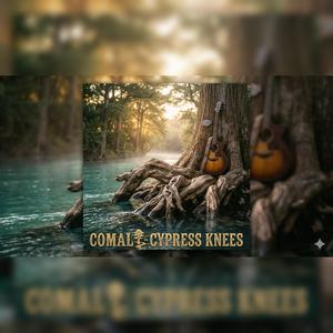 Cypress Knees