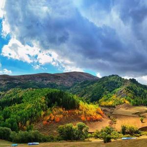 张紫豪-可不可以（贱贱钊 remix）