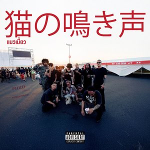 แมวเหมียว