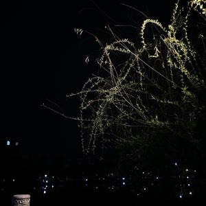 啊，你看看他那个屌样！