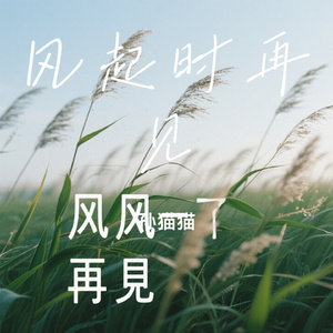 风起时再见