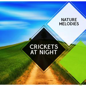 Uncultivated Park Wetlands