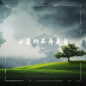 活着的不再是我