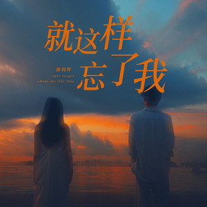 就这样忘了我