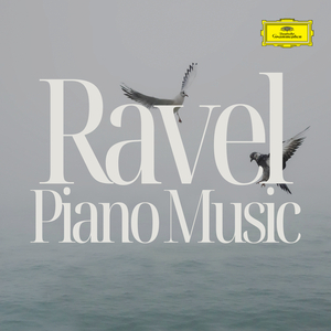 Piano Concerto for the Left Hand, M. 82:II. Allegro