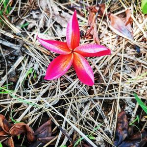 คิดถึง เหลือเกิน