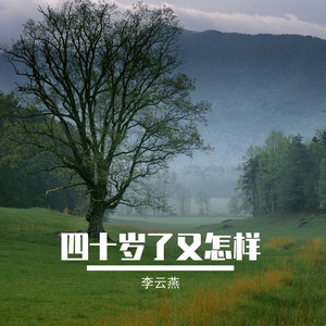 像不像你一年的样子