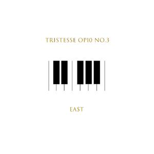 Tristesse Op10 No.3（离别练习曲） 伴奏