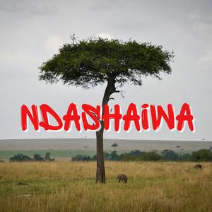 Ndashaiwa Remake Amapiano