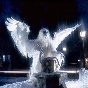 THE KORRUPTED PUNX¡