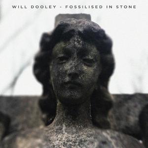 Fossilised In Stone