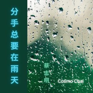 Rhythm of the Rain (Rainy Night 2000 A Cappella)