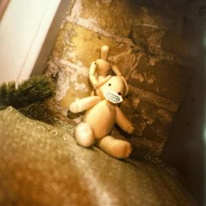 out on the field (demo)