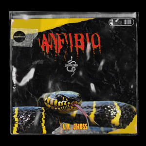 Anfibio