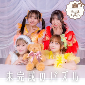 未完成のパズル