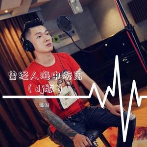 曾经人海中游荡（dj版）