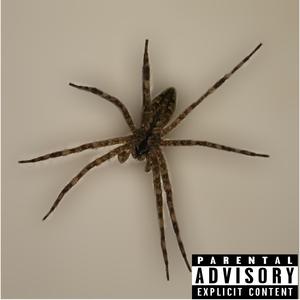 ARAÑA