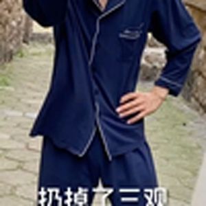 无脑黑vs脑残粉