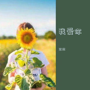 我爱你（翻自 程佳佳）